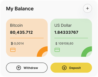 Solidariteit Welvaart automated trading solution — dashboard overview